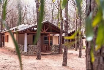 Villaggio Camping Pinetamare بيتسو المظهر الخارجي الصورة